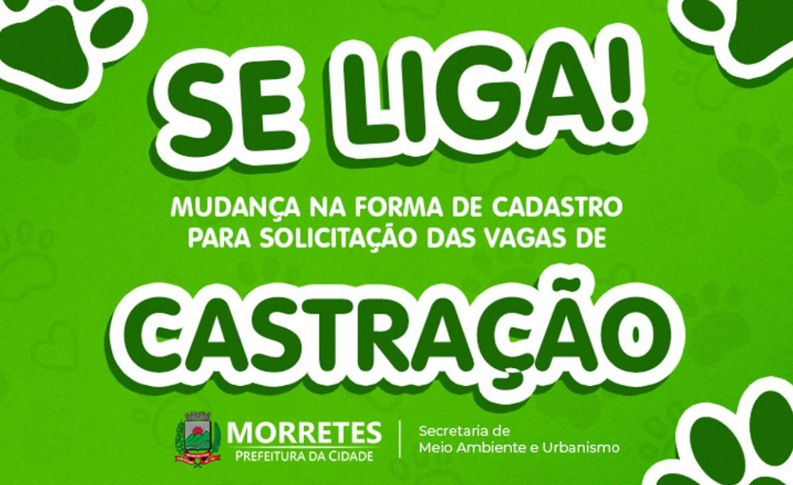 Prefeitura de Morretes atualiza sistema de solicitação de vagas para castração de animais