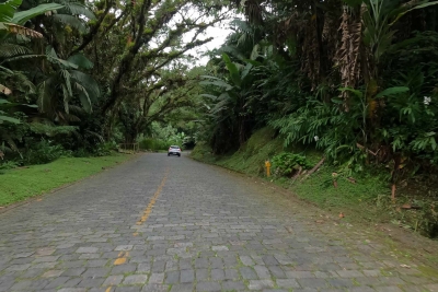 Estrada da Graciosa terá bloqueios temporários para reforço na sinalização a partir desta terça-feira