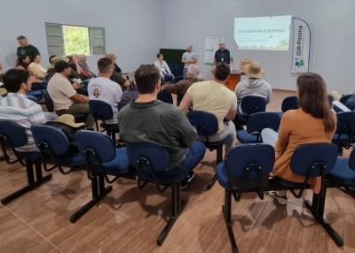 Curso de Meliponicultura promove capacitação a agricultores em Morretes
