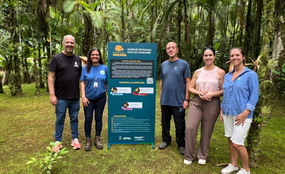 Parque Estadual do Marumbi recebe colmeias de abelhas nativas por meio do programa Poliniza Paraná
