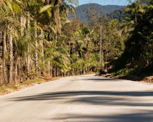 img7998.jpg