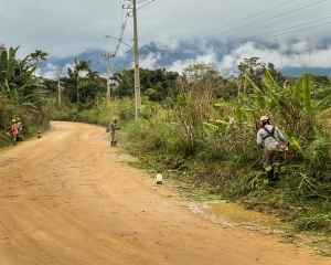 img9647-1.jpg