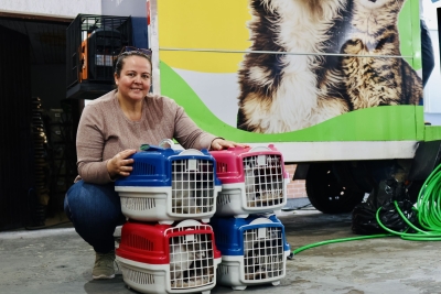 VetMóvel Paraná realiza mais de 500 atendimentos gratuitos para cães e gatos em Morretes
